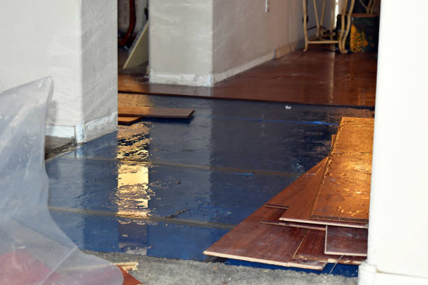 Professional Basement Flood Cleanup technician working in Waldo, WI